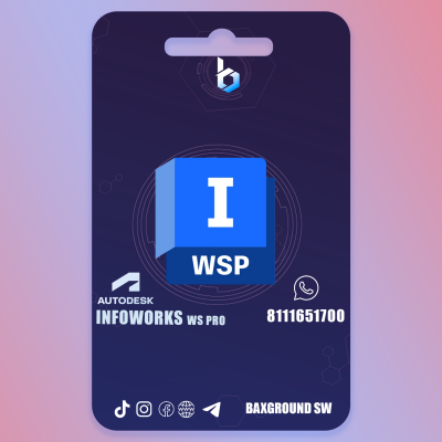Autodesk Infoworks WS Pro